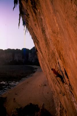 Climbing Tyrolean wall- Asian Shadow Play- Francois La Grande