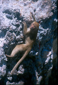 Climbing Thailand