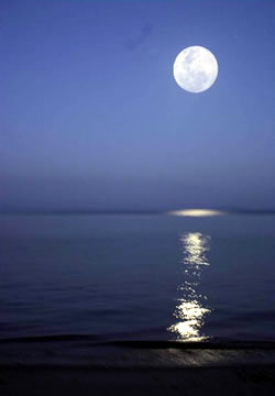 Laoliang by moonlight