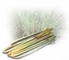 lemon grass