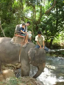 Ao Nang elephant trekking