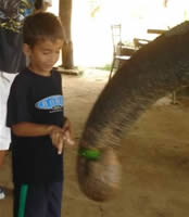 Aaron and the Ao Nang Elephants