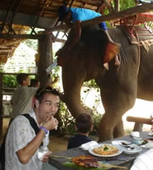 Riverside lunch with elephants