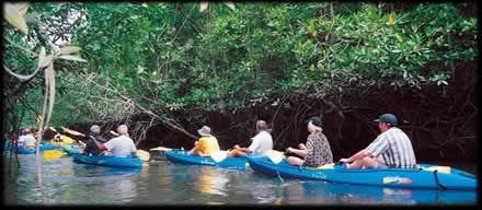 Kayaking the mangrove forest Ao Nang thailand