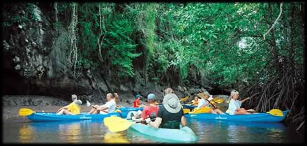 Kayaking in the national park mangrove forests ao nang thailand