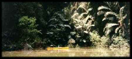 kayaking krabi thailand